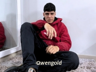 Owengold