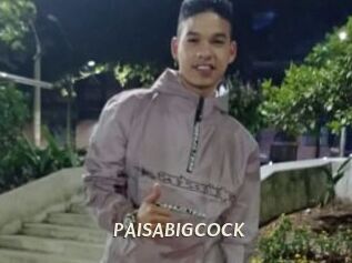 PAISABIGCOCK