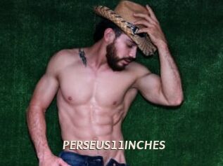 PERSEUS11INCHES