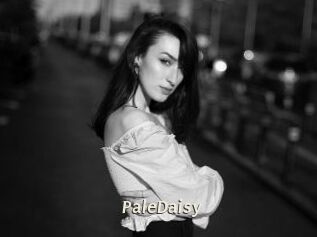 PaleDaisy