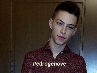 Pedrogenove