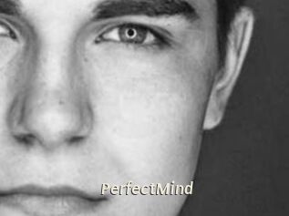 PerfectMind
