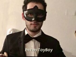 PerverToyBoy