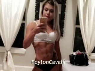 Peyton_Cavalli