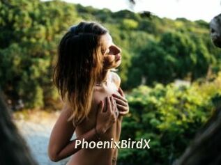 PhoenixBirdX Blog éjac