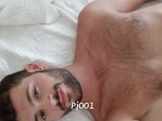 Pj001