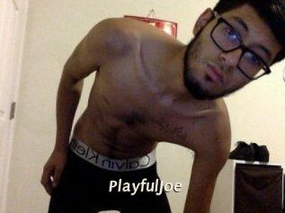 PlayfulJoe