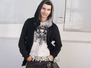 PlayfulNigel