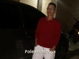 Polexcuteboyx