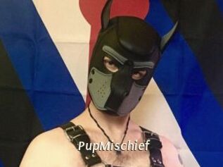 PupMischief
