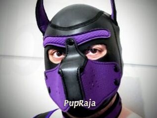 PupRaja
