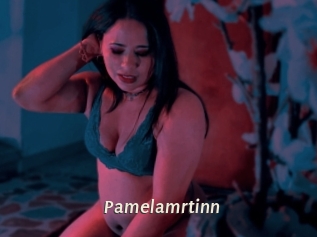 Pamelamrtinn