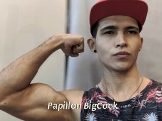 Papillon_BigCock