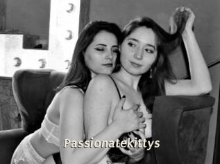 passionatekittys Blog éjac