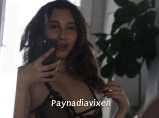 Paynadiavixen