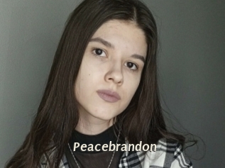 Peacebrandon