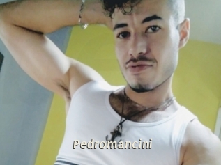 Pedromancini
