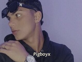 Pigboyx