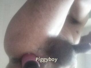 Piggyboy