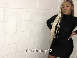 Pinkbunny22