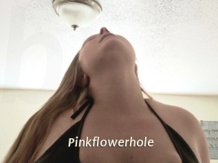 Pinkflowerhole