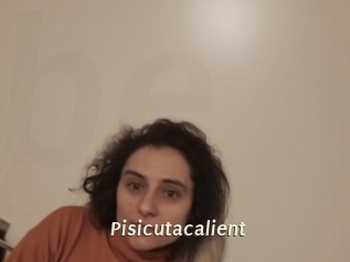 Pisicutacalient