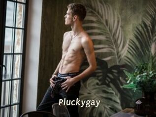 Pluckygay