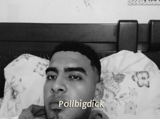 Pollbigdick