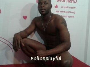 Pollonplayful