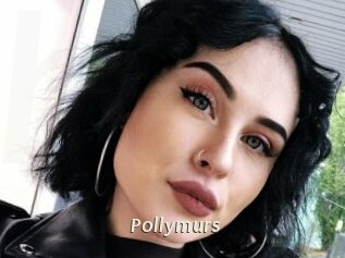 Pollymurs