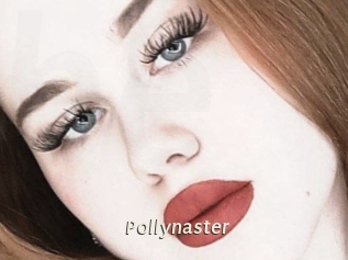Pollynaster