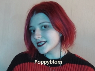 Poppyblom