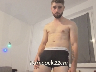 Porncock22cm