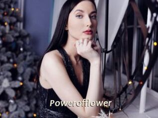 Powerofflower