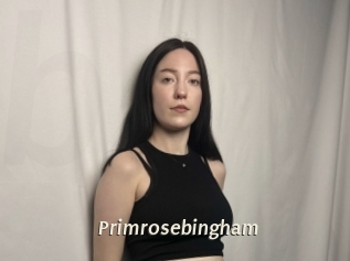 Primrosebingham