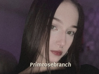 Primrosebranch