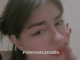 Primrosecarradin