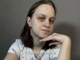 Primrosecarvin