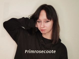 Primrosecoote