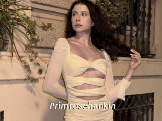 Primrosehankin