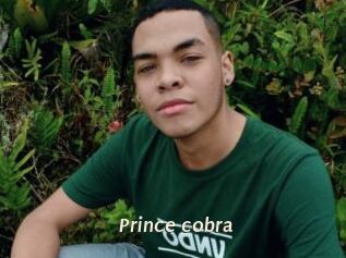 prince_cobra Blog éjac
