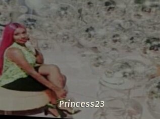 Princess23