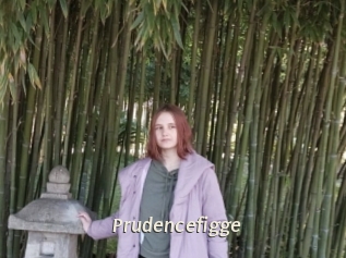 Prudencefigge