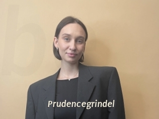 Prudencegrindel