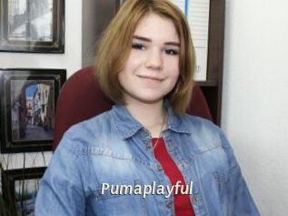 Pumaplayful