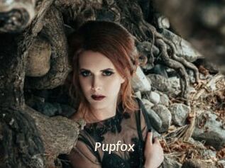 pupfox Blog éjac