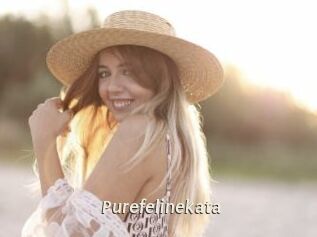 purefelinekata Blog éjac