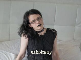 RabbitBoy