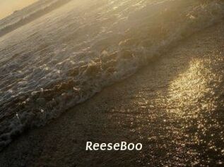 ReeseBoo