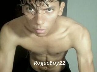 RogueBoy22